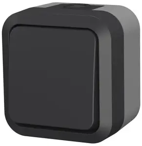 Düwi Aqua Pro 60321 Double 2-Pole Surface-Mounted Switch IP55 Grey-Graphite