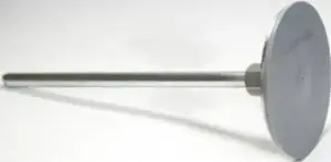 ELKO-BIS 97300105 zemējuma savienojums 10mm diametra stienim
