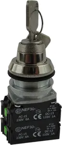 Promet NEF30-B2X2Y Rotary Switch 0-1 with Key, 2NO 2NC