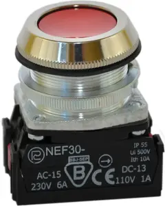 Promet W0-NEF30-K 2Y C Control Pushbutton 30mm Red Spring Return