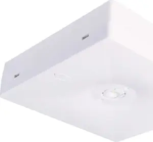 Аварийный светильник Intelight Starlet QUAD LED SO 150 SA 3H MT IP20