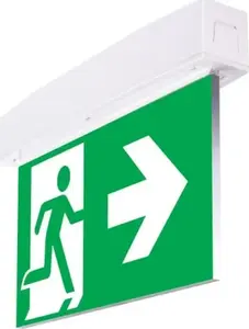 Intelight SUPREMA LED Emergency Luminaire D-std SA 3H IP54