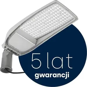 Lena Lighting CORONA BASIC 2 LED Street Luminaire 54W 5700lm 5700K IP66