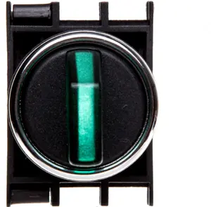Emas T0-B100SL20Y 2-Position Selector Switch, 1NO, Illuminated, 100-250V, Green