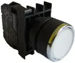 Emas T0-B100DB Push Button Switch White 22mm 4A 250V AC