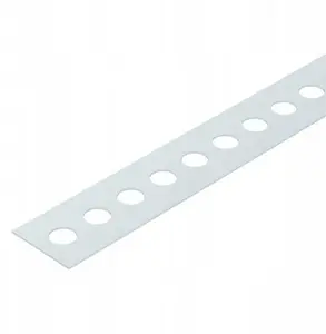 Перфорированная монтажная лента Bettermann MZ029 25x0,7 мм, 10 м