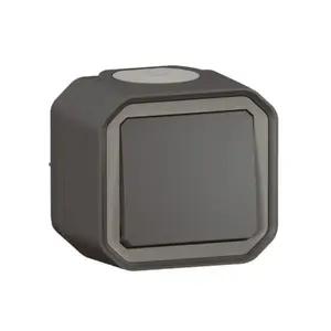 Legrand 069790L Plexo Surface-Mounted Single-Pole Push-Button 10A 250V Anthracite