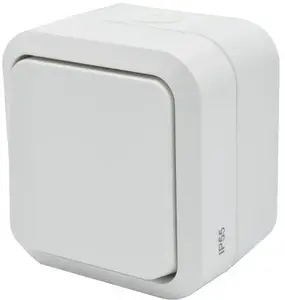 Düwi Aqua Pro 60221 Double 2-Pole Surface-Mounted Switch IP55 White