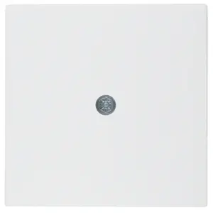 Hager 10191909 Central Plate for Cable Outlet and Socket, White