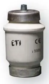 Eti-Polam BIWTs Fuse Link 100A gF 500V R 1 1/4 inch