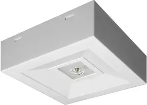 AWEX LOVATO N LED avārijas gaismeklis 3W 370lm atklātas zonas optika 3h paštests balts