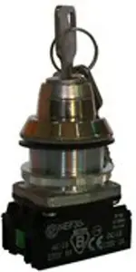 Promet NEF30-B2X 30mm Key-Operated Control Switch, 2NO, Non-Self-Resetting