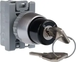 Spamel SP22-SAA-10 2-Position Selector Switch with Key and 1NO Contact