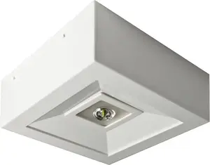 AWEX LOVATO N ECO LED avārijas gaismeklis 1W 125lm atklātām zonām 1h balts