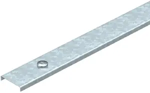 Bettermann AZDMD 50 DD Cover with Turn Buckle 53mm