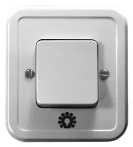 Ospel ŁW-5P/00 Single Momentary Switch, White, 6A 250V, IP20