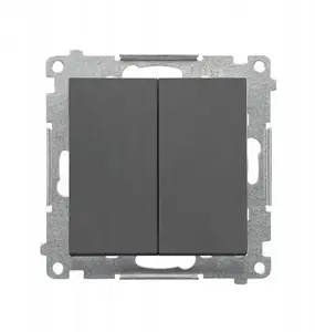 Kontakt-Simon 55 Double Push-Button Switch Module, 10 AX, 250 V, Quick Connect, Graphite Matte