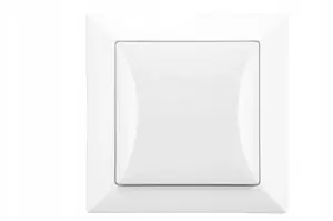 Düwi 33021 Single-Pole Flush-Mounted Switch, White