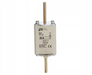 Плавкая вставка Eti-Polam NH2C 40A gF 500V