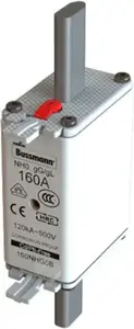 Eaton NH0 Fuse Link 100A 500V gL/gG with Dual Indicator