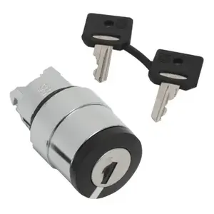 Schneider Electric ZB4BG220 Key Selector Switch Head