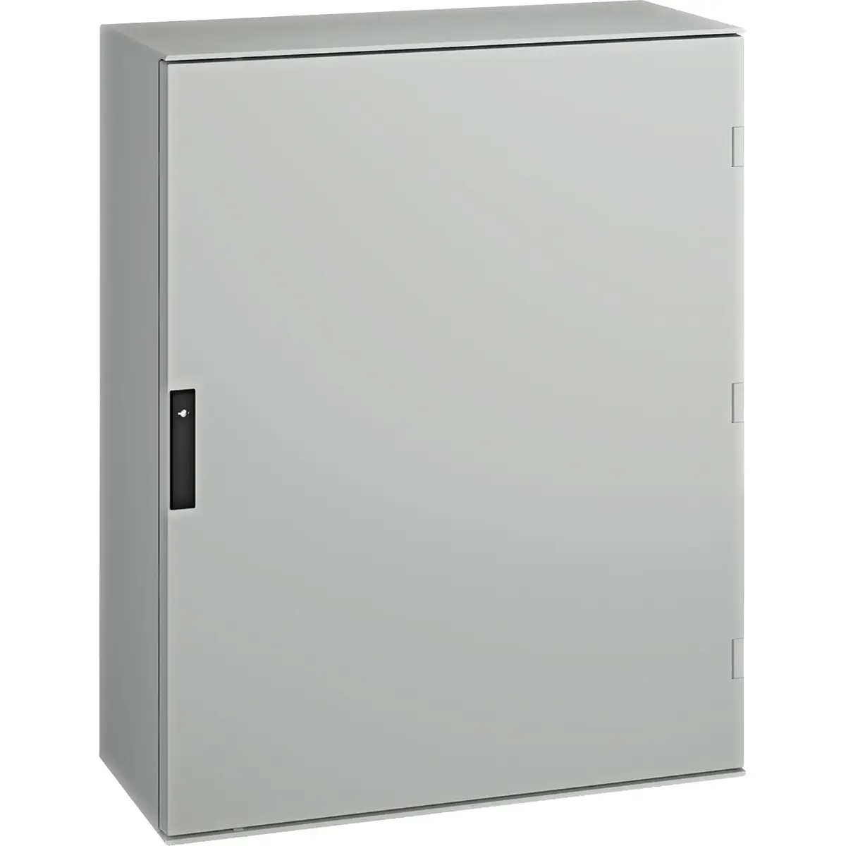 Schneider Electric Thalassa NSYPLM108G sienas skapis Photo 2