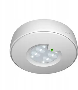 EATON Roundtech eFocus Emergency Luminaire, Surface Mounted, 200lm, 1H, IP44