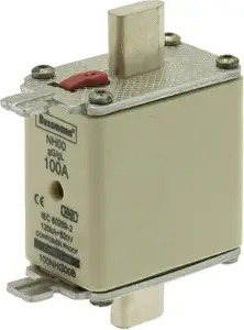 Eaton 100NHG00B NH00 Low-Voltage Fuse Link, 100A, 500V, gL/gG