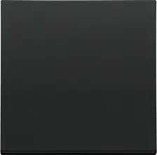 Клавиша одинарная Kontakt-Simon 55 TKW1/149 для выключателей и кнопок, черный матовый