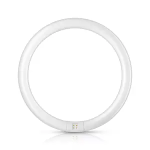 Philips TL-E Super 80 Circular Fluorescent Lamp 32W G10q C-T9 2375lm Cool White