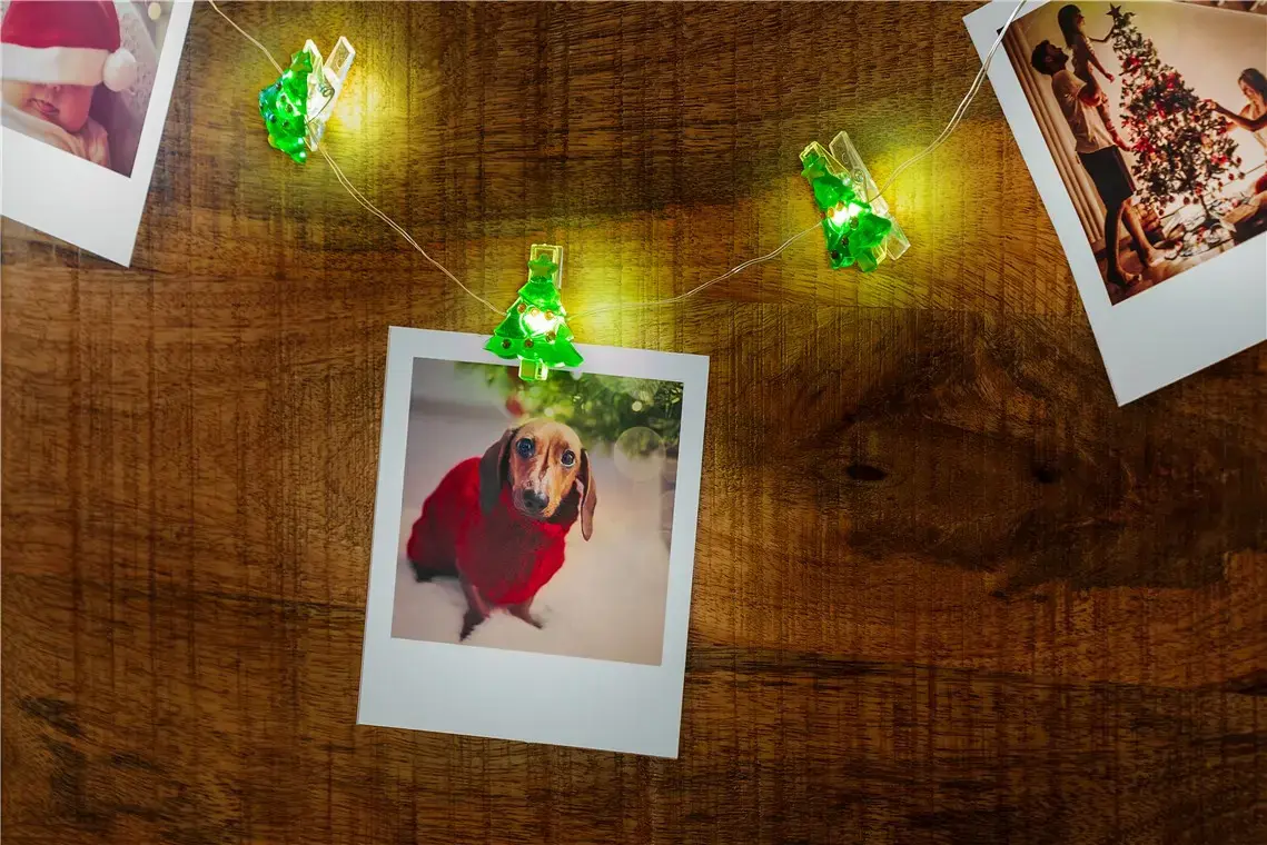 Goobay 10 LED Photo Clip Fairy Lights Christmas Tree Photo 5