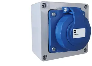 ELEKTROPLAST Surface-Mounted Socket 2P+Z 16A 250V IP65 with PG-13 Cable Gland