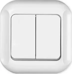 Timex Topaz WP-2Tb Double Flush-Mounted Switch White