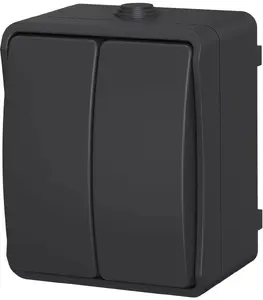Двухклавишный выключатель Düwi Aqua Plus, накладной монтаж, IP54, антрацит