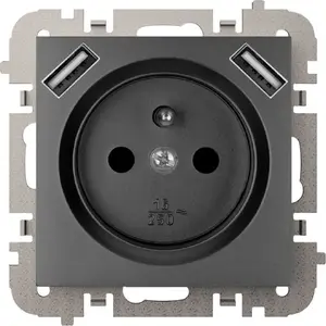 Розетка Elektro-Plast Vestra 2P+Z с 2xUSB зарядным устройством, скрытого монтажа, IP20, черная