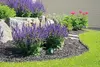 Kanlux Avken Outdoor Spotlight 35W Photo 4