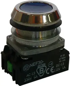 Promet W0-NEF30-K 2X N Control Pushbutton 30mm Blue 2NO Momentary