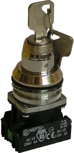 Promet NEF30TZbM 2-Position Key Switch, 30mm, 1NO 1NC, Momentary