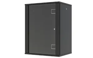 Lanview RWF16U45BL 16U Wall Mounted 19-inch Rack Cabinet, Black
