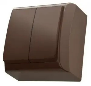 Ospel ŁN-2B/24 Double Light Switch, Brown, 10A 250V, IP20