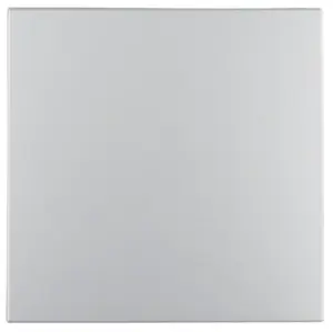 Hager 16201404 Square Switch Rocker for Switches, Aluminium