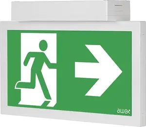 AWEX INFINITY II Emergency Luminaire, 1W LED, 1h Duration, Maintained/Non-Maintained, Auto-Test, Grey