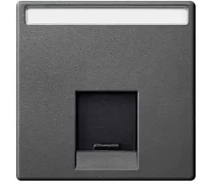 Schneider Electric Merten System M Central Plate for RJ45 Socket, Anthracite