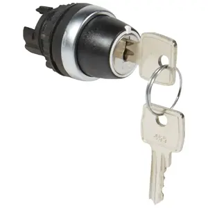 Электрический переключатель Legrand 023954, 2-позиционный