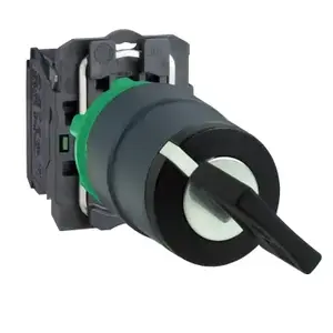 Schneider Electric XB5AG61 2-Position Key Selector Switch 22mm