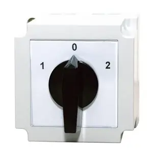 Apator 4G63-53-PK Cam Switch 1-0-2 690V 63A