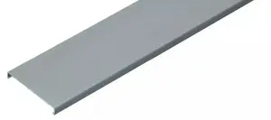 Elettrocanali ECCR80G Cover for ECS Series Wiring Duct, Width 80mm, Length 2m