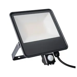 Kanlux iQ LED 50W Outdoor Floodlight with Motion Sensor IP44