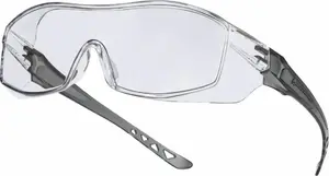 Delta Plus Hekla Over-Spectacles Clear Lens