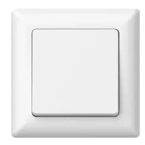 Düwi Varia Universal Flush-Mounted Switch, White